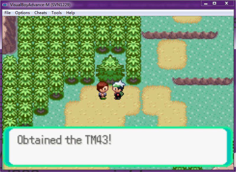 A scene from the game Pokemon Emerald