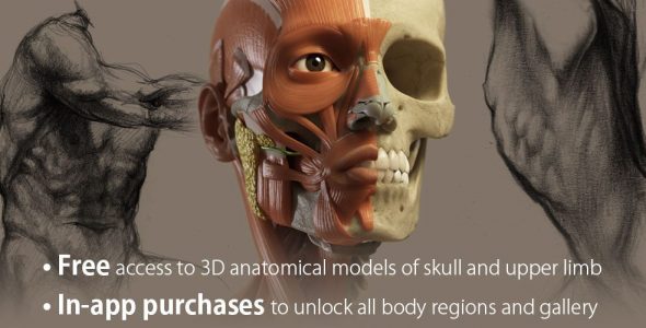 3D Anatomy for the Artist FULL