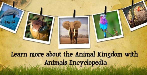 Animal Encyclopedia Complete Reference Guide Free Cover