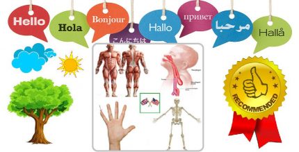 Body Parts Name and Pictures