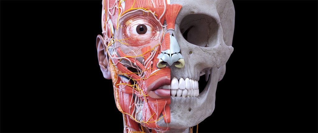 Grays Atlas of Anatomy Pro No Ads