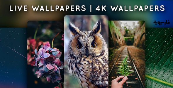Live Wallpapers 4K Wallpapers Cover