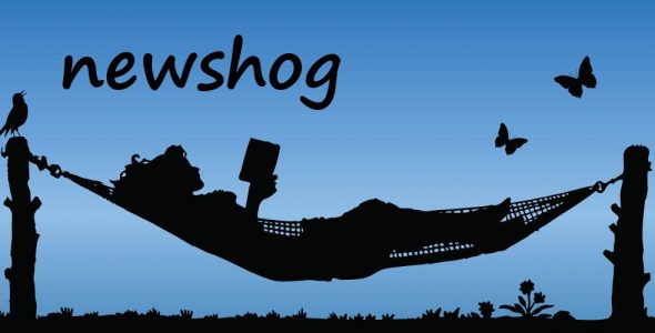 NewsHog News Weather