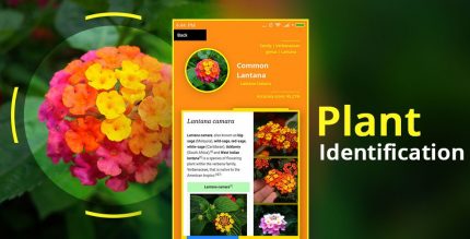 Plant Identifier Cover