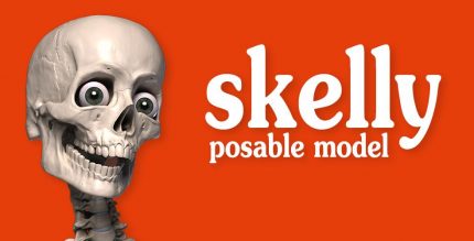 Skelly Poseable Anatomy Model
