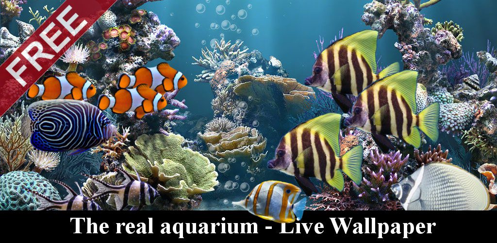 the real aquarium hd apk