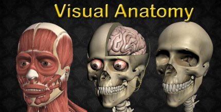 Visual Anatomy