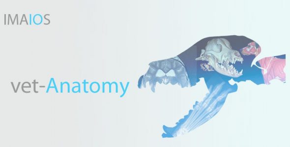 vet Anatomy cover
