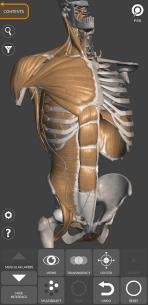 3D Anatomy for the Artist (UNLOCKED) 1.2.7.1 Apk for Android 2
