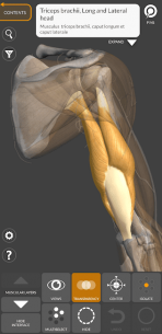 3D Anatomy for the Artist (UNLOCKED) 1.2.7.1 Apk for Android 3