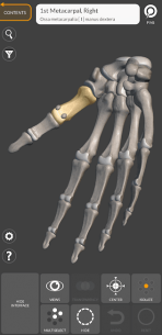 3D Anatomy for the Artist (UNLOCKED) 1.2.7.1 Apk for Android 5