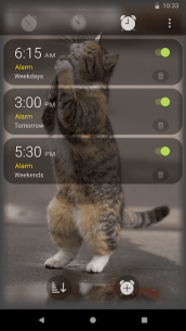 Alarm Clock Pro: Stopwatch, Timer & HIIT 1.8.0.0 Apk for Android 2