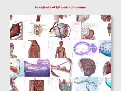 Anatomy & Physiology 6.2.00 Apk + Data for Android 2