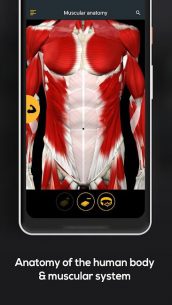 Anatomy by Muscle & Motion 2.1.72 Apk for Android 3