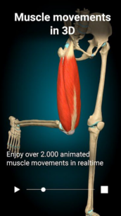 Anatomy Learning – 3D Anatomy 2.1.386 Apk for Android 2