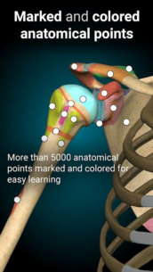 Anatomy Learning – 3D Anatomy 2.1.386 Apk for Android 3
