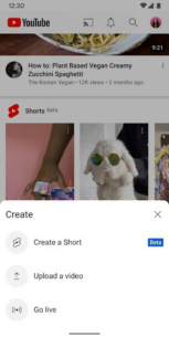YouTube 19.13.37 Apk for Android 1
