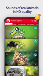 Animals Ringtones 18.1 Apk for Android 2