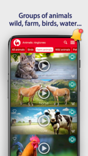 Animals: Ringtones 18.0 Apk for Android 4