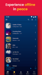 Music Player – Audify Player (PRO) 1.61.0 Apk for Android 4