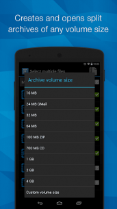 B1 Archiver zip rar unzip (PRO) 1.0.0132 Apk for Android 2