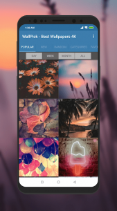 Best Wallpapers 4K – WallPick 2.93 Apk for Android 1