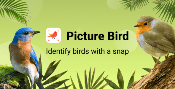 bird identifier cover