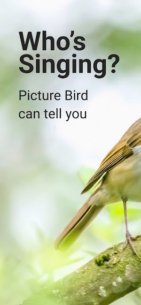 Picture Bird – Bird Identifier (PREMIUM) 2.9.25 Apk for Android 1