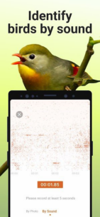 Picture Bird – Bird Identifier (PREMIUM) 2.9.25 Apk for Android 3