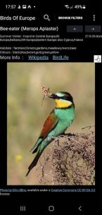 Birds Of Europe 1.0.0 Apk for Android 3