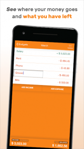 Fudget: Budget and expense tracking app (PRO) 1.5.3 Apk for Android 3