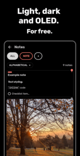 Bundled Notes – Lists, To-do (PRO) 2.1.8 Apk for Android 5