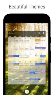 Business Calendar 2 Pro 2.50.2 Apk for Android 5
