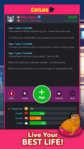BitLife Cats – CatLife 1.8.3 Apk + Mod for Android 4