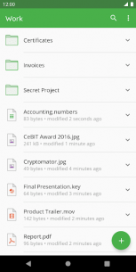 Cryptomator 1.10.0 Apk for Android 5