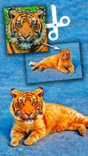 Cut Paste Photo Seamless Edit 35.0 Apk for Android 3