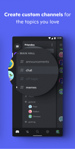Discord – Talk, Video Chat & Hang Out with Friends 34.4 Apk for Android 3