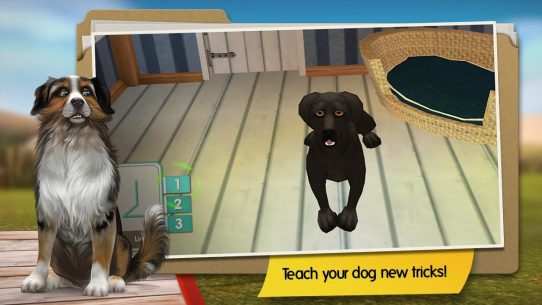Dog Hotel Premium – Play with cute dogs 2.1.2 Apk + Mod for Android 2