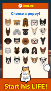 BitLife Dogs – DogLife 1.8.1 Apk + Mod for Android 1
