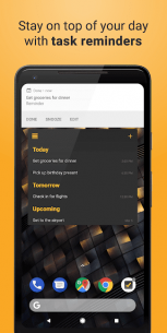 Done – Daily planner, todo, widget and reminders (PRO) 1.6.3 Apk for Android 4