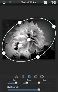 Dramatic Black & White 2.53 Apk for Android 1