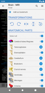 e-Anatomy 4.12.6 Apk for Android 4
