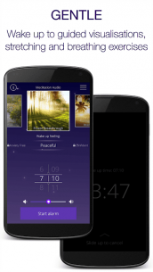 Easy Rise Alarm Clock (PRO) 2.0.8 Apk for Android 2