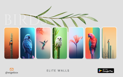 Elite walls 1.0.1 Apk for Android 2