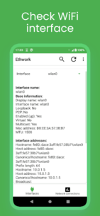 Ethwork: Netstat & Interfaces (PREMIUM) 4.47 Apk for Android 1