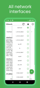 Ethwork: Netstat & Interfaces (PREMIUM) 4.47 Apk for Android 2