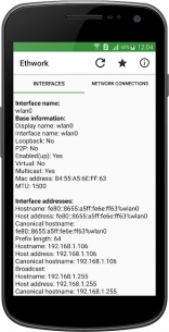 Ethwork: Netstat & Interfaces (PREMIUM) 4.0.20 Apk for Android 1