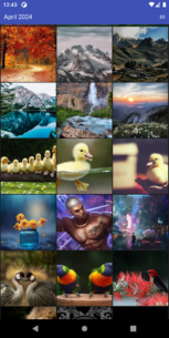 F-Stop Gallery (PRO) 5.5.117 Apk + Mod for Android 5