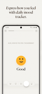 Five Minute Journal  Apk for Android 5