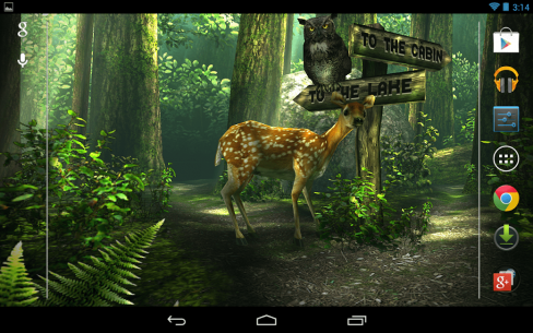 Forest HD 1.6.1 Apk for Android 1